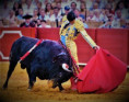 San Miguel Sevilla: Aguado Puerta del Príncipe